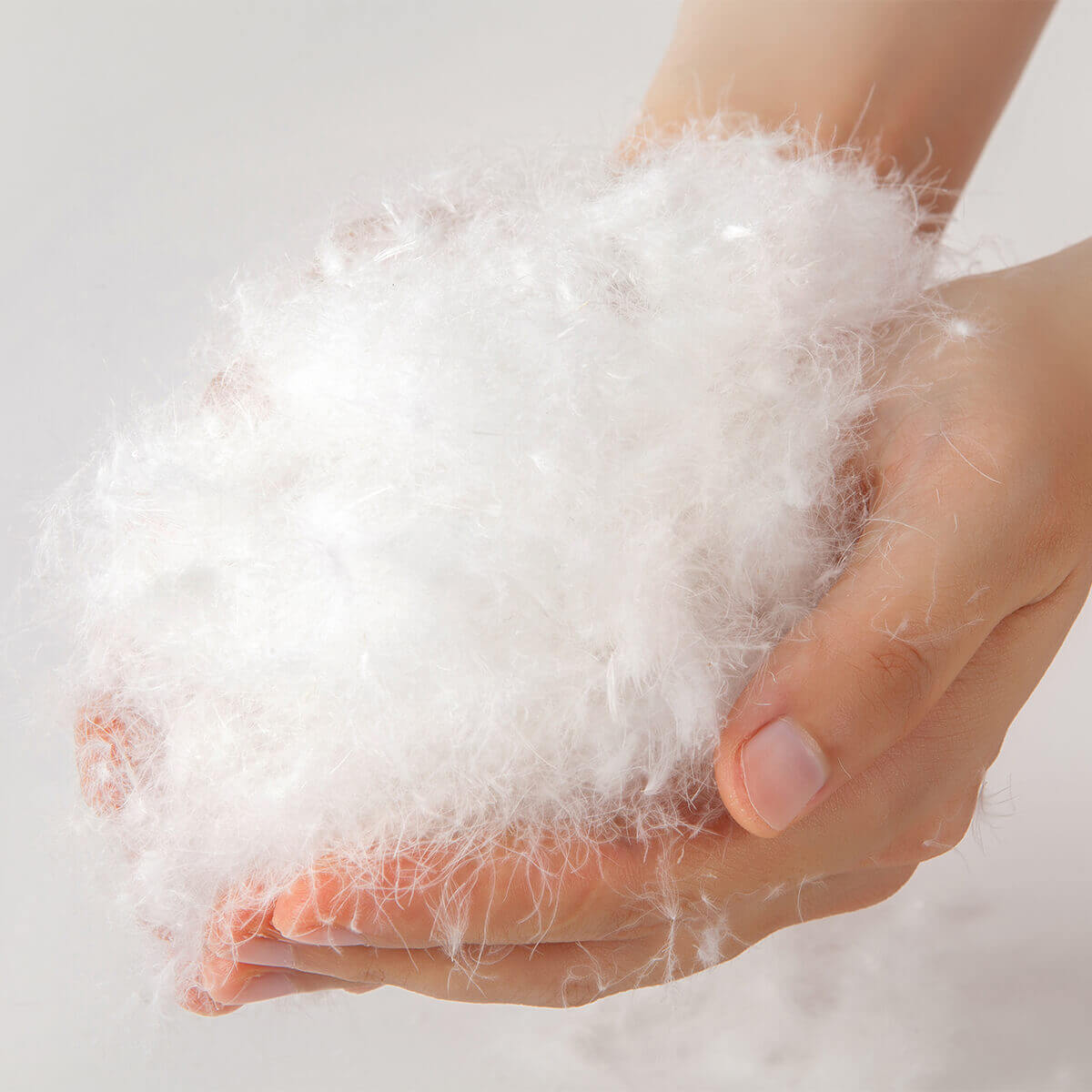 Hands holding soft white down feathers, representing the quality filling in the QUQON Daunenkissen NORDIC.TRIO pillow.