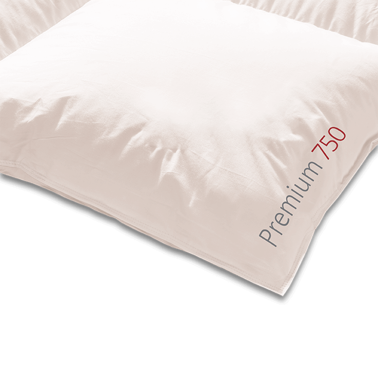 Luxurious KAUFFMANN Premium 750 Daunendecke with fine masurische down, elegant Mako-Batist edge, and soft finish.